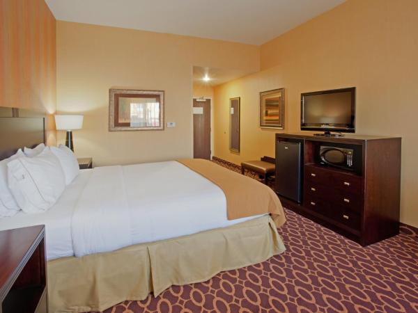 Holiday Inn Express & Suites Sacramento NE Cal Expo, an IHG Hotel : photo 2 de la chambre chambre lit king-size standard