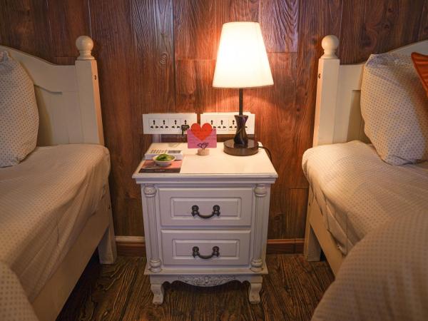 Chengdu Mix Hostel Courtyard Poshpacker (Wenshu Monastery) : photo 5 de la chambre chambre lits jumeaux confort