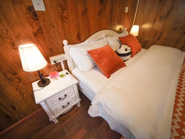 Chengdu Mix Hostel Courtyard Poshpacker (Wenshu Monastery) : photo 3 de la chambre chambre double