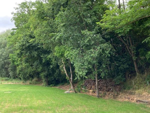 Maison Country B&B : photo 1 de la chambre chambre triple