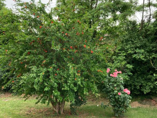 Maison Country B&B : photo 2 de la chambre chambre double