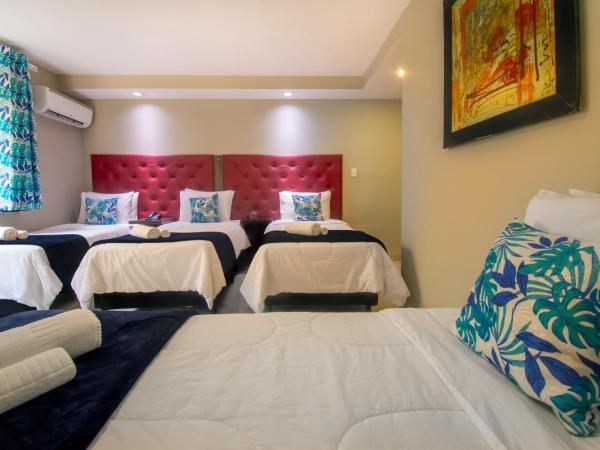 Hotel Barra da Lagoa by Latitud Hoteles : photo 3 de la chambre chambre quadruple