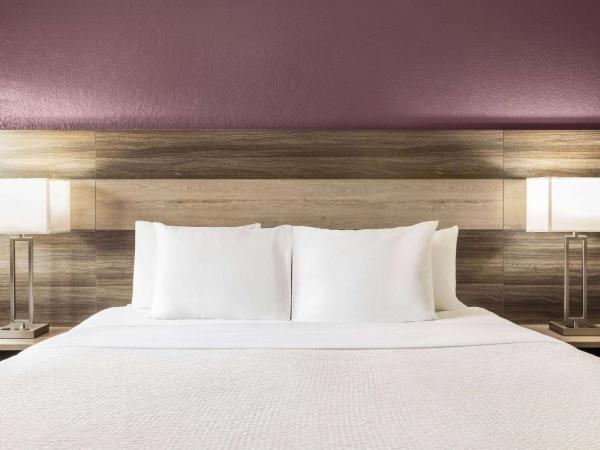 La Quinta Inn by Wyndham San Antonio Lackland : photo 3 de la chambre chambre lit king-size