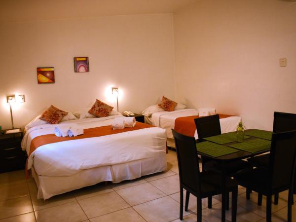 Umbral del Aconcagua : photo 1 de la chambre studio