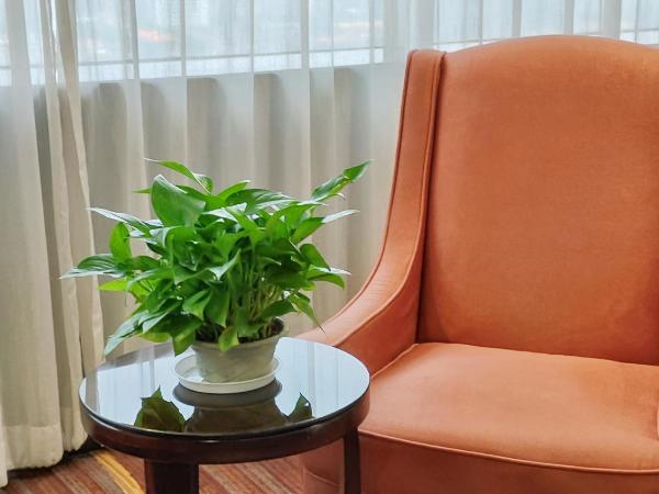 Skyline Plaza Hotel Guangzhou : photo 7 de la chambre chambre lit queen-size deluxe