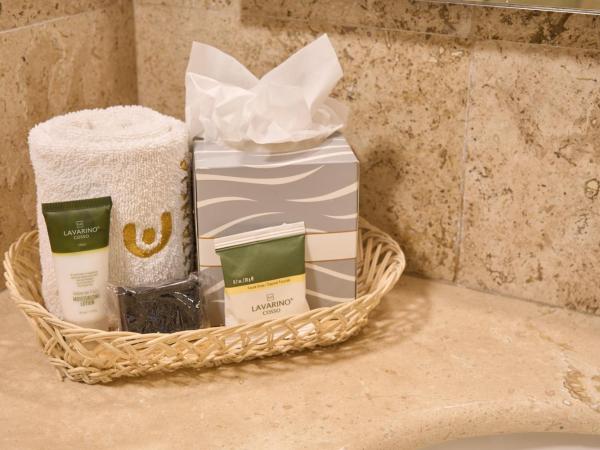 Hotel Estancia Business Class : photo 5 de la chambre suite exécutive