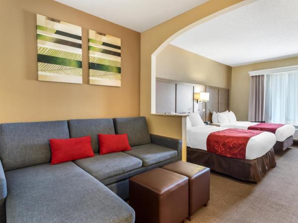 Comfort Suites Bush Intercontinental Airport : photo 8 de la chambre suite double