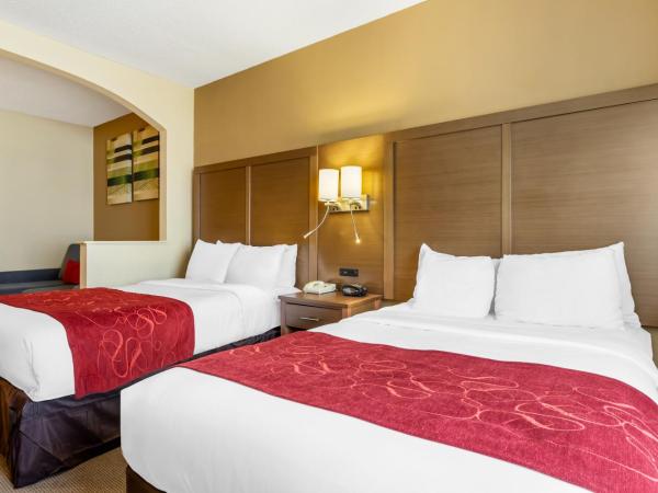 Comfort Suites Bush Intercontinental Airport : photo 10 de la chambre suite double