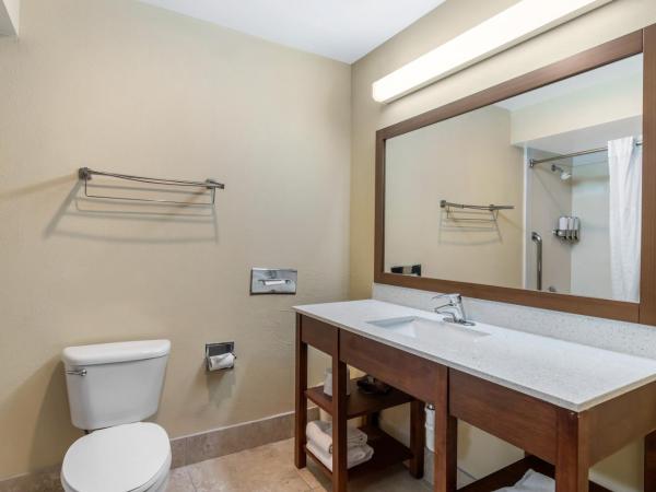Comfort Suites Bush Intercontinental Airport : photo 2 de la chambre suite double