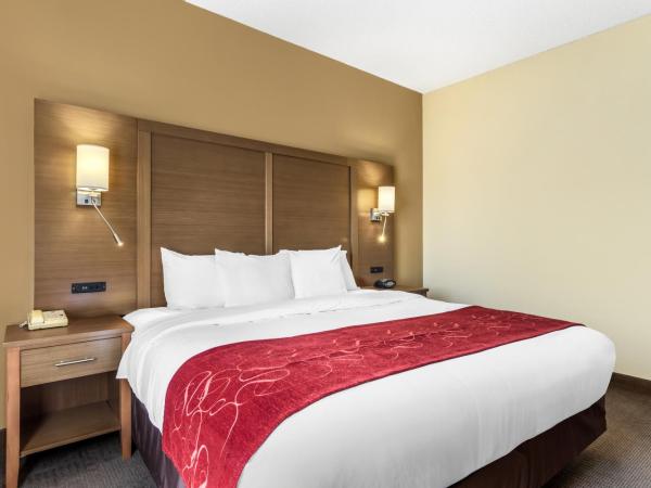 Comfort Suites Bush Intercontinental Airport : photo 6 de la chambre suite lit king-size