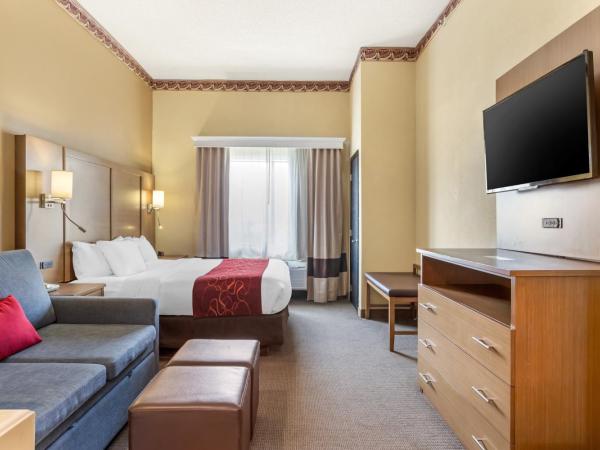 Comfort Suites Bush Intercontinental Airport : photo 7 de la chambre suite lit king-size