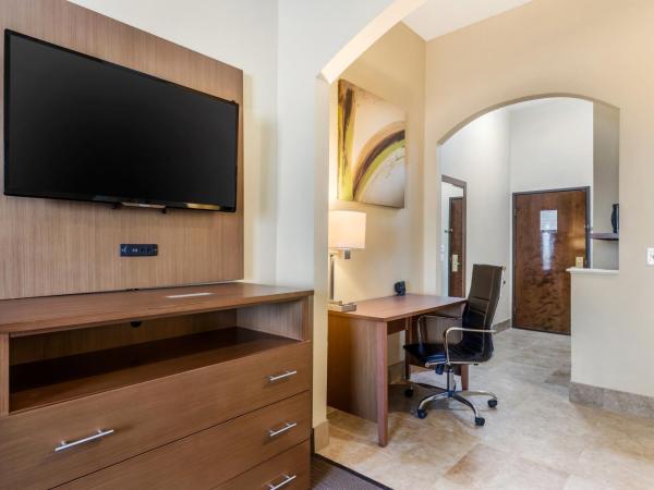 Comfort Suites Bush Intercontinental Airport : photo 3 de la chambre suite double