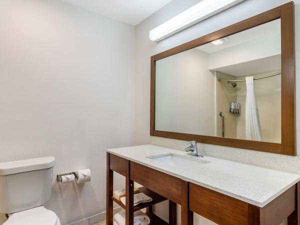 Comfort Suites Bush Intercontinental Airport : photo 4 de la chambre suite double