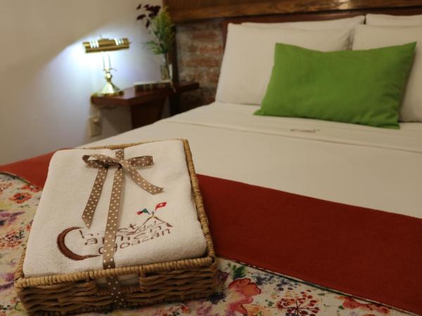 Chalet del Carmen, Coyoacán : photo 3 de la chambre chambre double