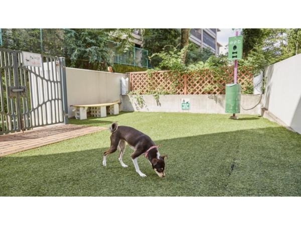 River Side Arashiyama - Vacation STAY 86277v : photo 4 de la chambre studio