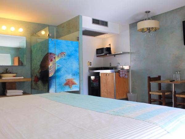 Hotel Rio Malecon : photo 4 de la chambre chambre avec kitchenette