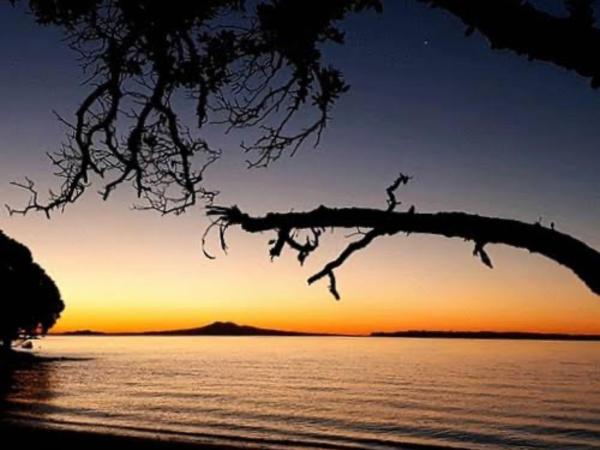 Delightful little house & Chateau Charme Suite : photo 9 de la chambre maison 1 chambre