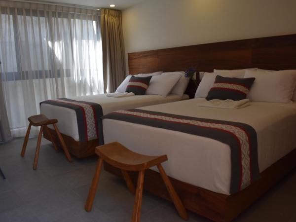 Punta Agave Suites : photo 2 de la chambre suite