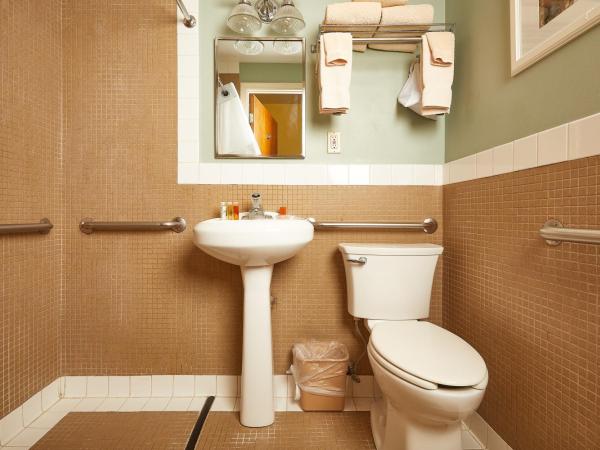 Alexander Inn : photo 6 de la chambre chambre complète standard 

