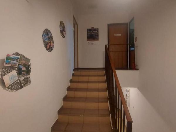 Travel House Wroclaw : photo 2 de la chambre chambre triple avec terrasse