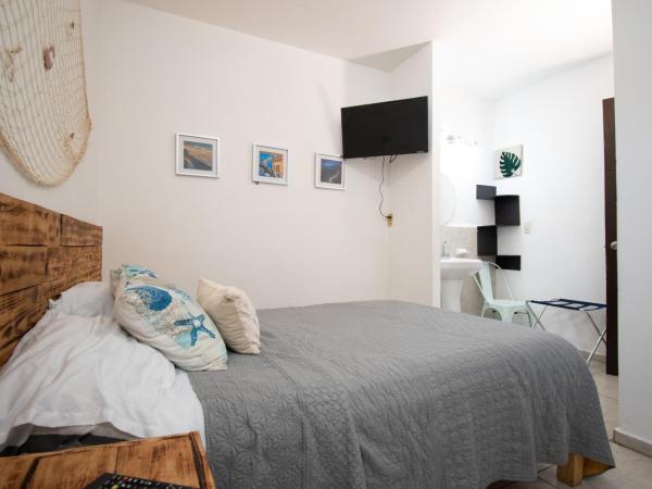 Isla Venados Habitaciones Vacacionales : photo 4 de la chambre chambre double avec salle de bains privative