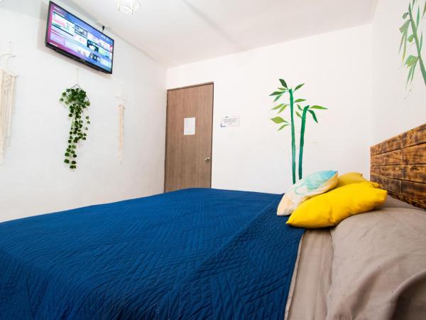 Isla Venados Habitaciones Vacacionales : photo 1 de la chambre chambre double avec salle de bains privative