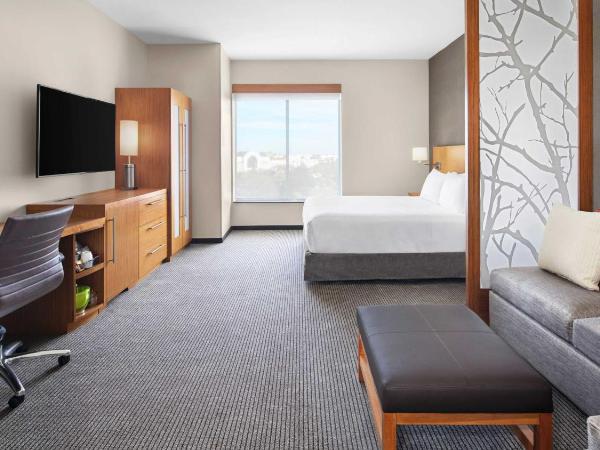 Hyatt Place Jacksonville St. Johns Town Center : photo 4 de la chambre chambre lit king-size avec canapé-lit et douche accessible en fauteuil roulant - accessible aux personnes à mobilité réduite