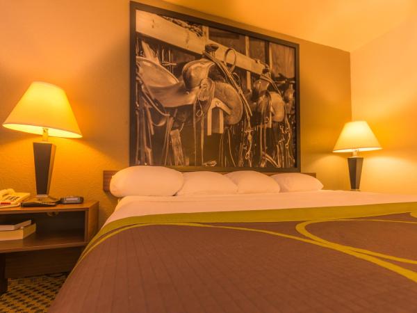 Super 8 by Wyndham Oklahoma Airport Fairgrounds West : photo 3 de la chambre chambre lit queen-size accessible aux personnes à mobilité réduite - non-fumeurs