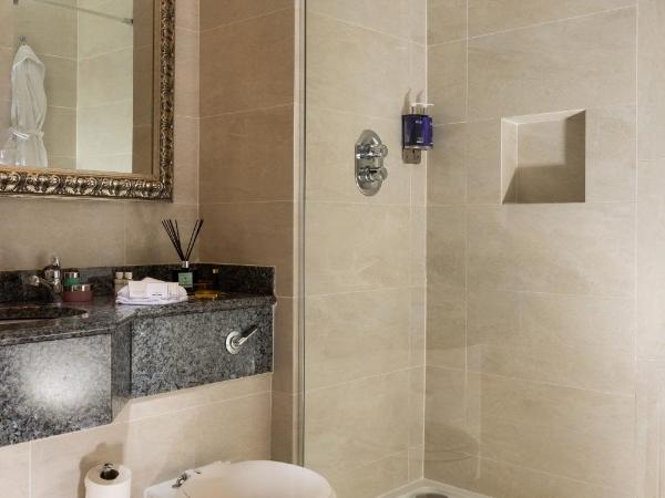 Faithlegg Hotel : photo 1 de la chambre chambre lits jumeaux