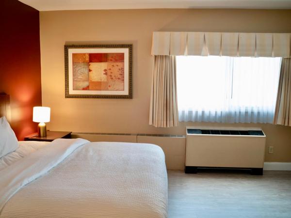 Hotel Boston : photo 4 de la chambre appartement 1 chambre