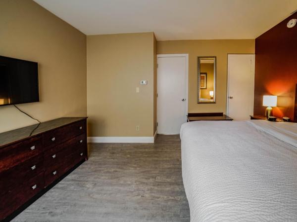 Hotel Boston : photo 7 de la chambre appartement 1 chambre