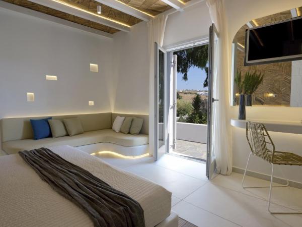 Andronikos Hotel : photo 6 de la chambre superior room / garden view