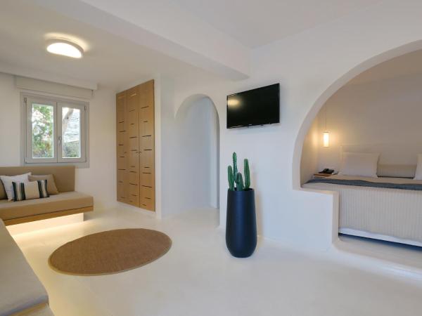 Andronikos Hotel : photo 9 de la chambre junior suite / garden view