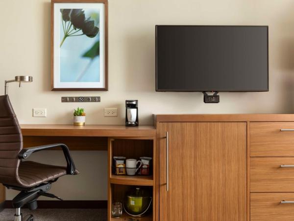 Hyatt Place Virginia Beach Town Center : photo 3 de la chambre chambre lit king-size avec canapé-lit