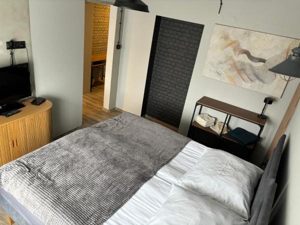 Guest Apartments Orłowo : photo 1 de la chambre appartement 2 chambres