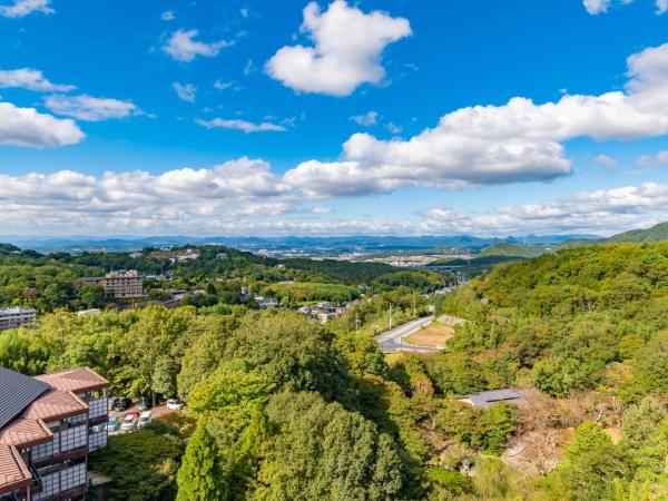 Motoyu Kosenkaku : photo 2 de la chambre suite