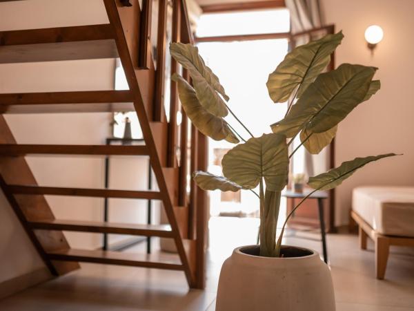 Casa Veneta : photo 7 de la chambre suite - vue sur mer