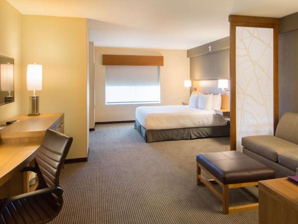 Hyatt Place Orlando/Lake Buena Vista : photo 1 de la chambre chambre lit king-size avec canapé-lit