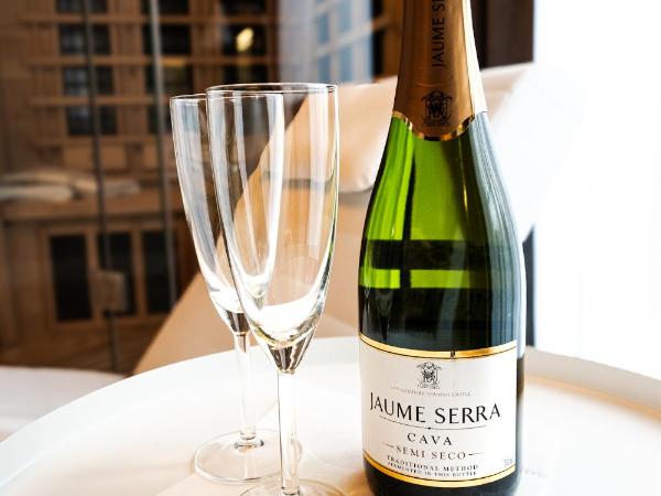 Hotel Luxor : photo 9 de la chambre appartement avec sauna