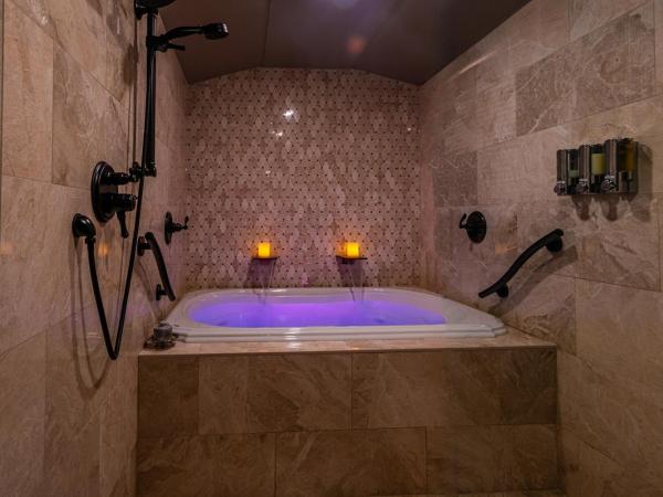 Inn at Parkside : photo 3 de la chambre radiance mansion couples spa room