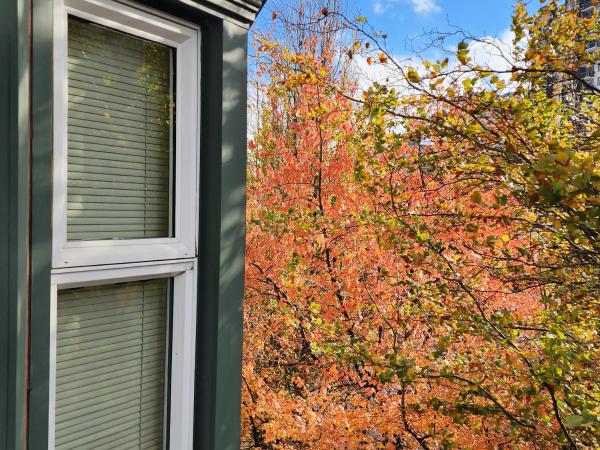 Times Square Suites Hotel : photo 1 de la chambre suite 1 chambre