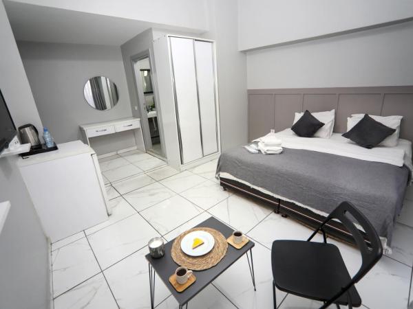 Arkem Hotel 1 : photo 2 de la chambre appartement standard