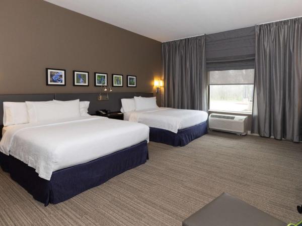 Hilton Garden Inn Austin Airport : photo 1 de la chambre chambre double avec 2 lits doubles - non-fumeurs
