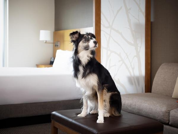 Hyatt Place Denver Downtown : photo 7 de la chambre chambre lit king-size familiale avec canapé-lit - vue sur montagne