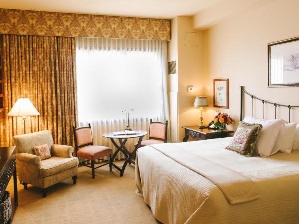Hotel Granduca Houston : photo 1 de la chambre chambre simple