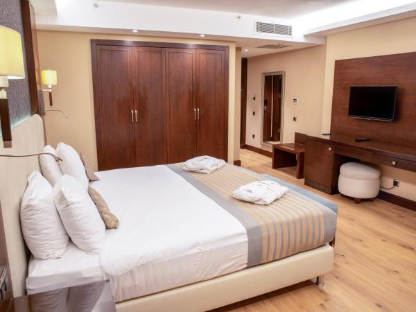 Grand Aras Hotel & Suites : photo 2 de la chambre chambre lit king-size supérieure