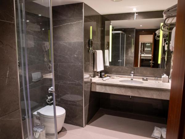 Grand Aras Hotel & Suites : photo 5 de la chambre chambre lit king-size supérieure