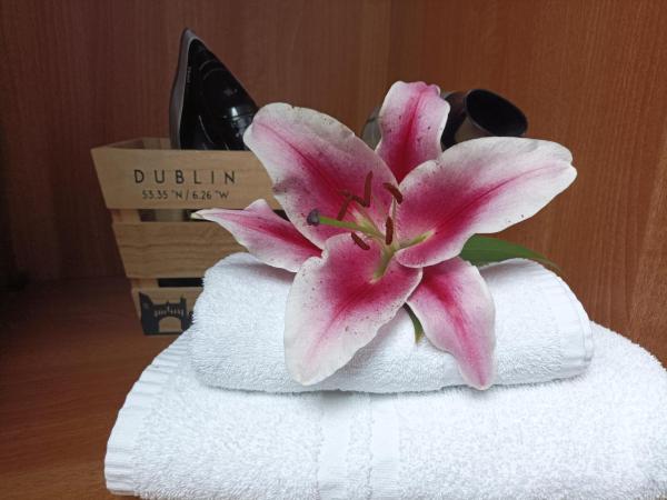 Tom Dick and Harriet's Accommodation : photo 5 de la chambre chambre simple standard