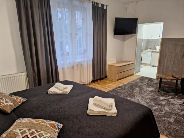 Filsdeger Royal Panzió : photo 9 de la chambre appartement avec terrasse