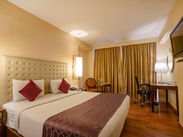 Royal Orchid Central Jaipur, Bani Park : photo 4 de la chambre chambre double ou lits jumeaux club